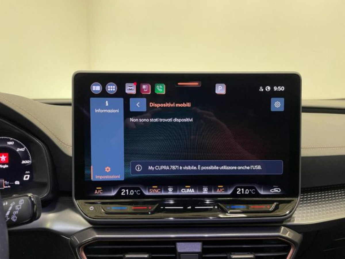 Cupra Formentor Formentor 2.0 TDI (10)