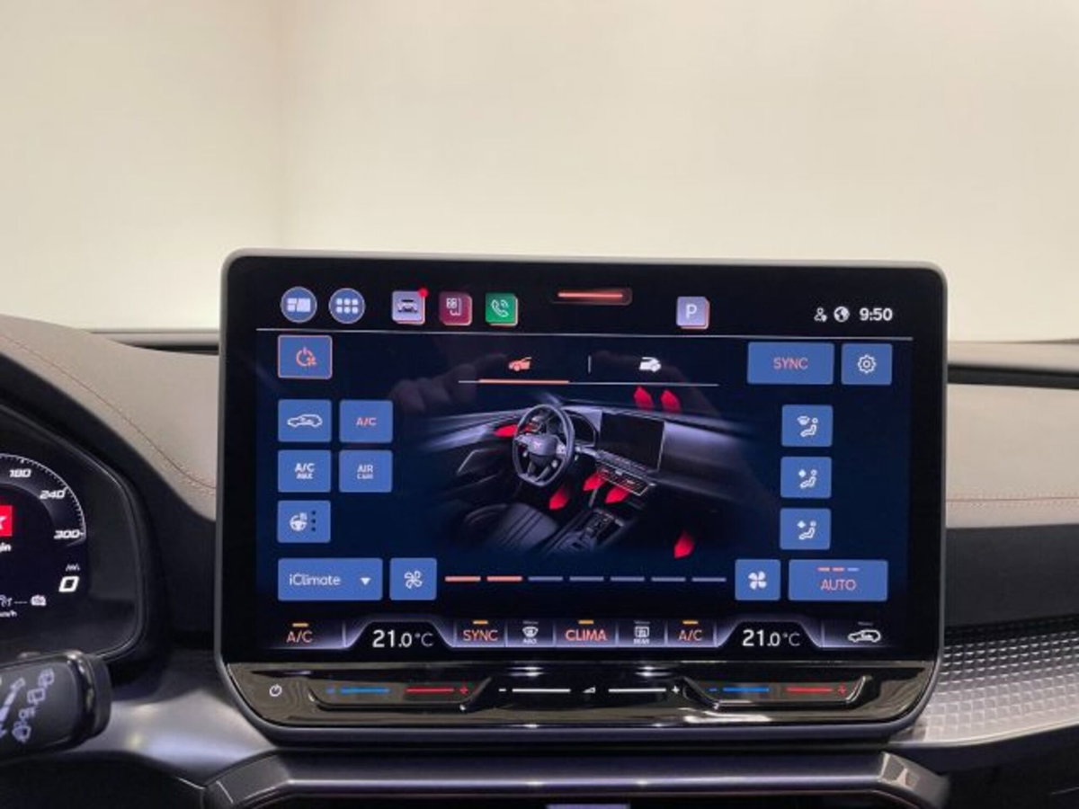 Cupra Formentor Formentor 2.0 TDI (11)