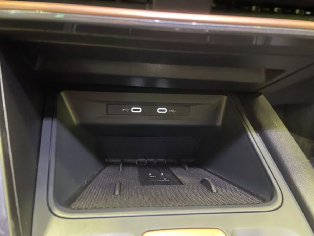 Cupra Formentor Formentor 2.0 TDI (13)
