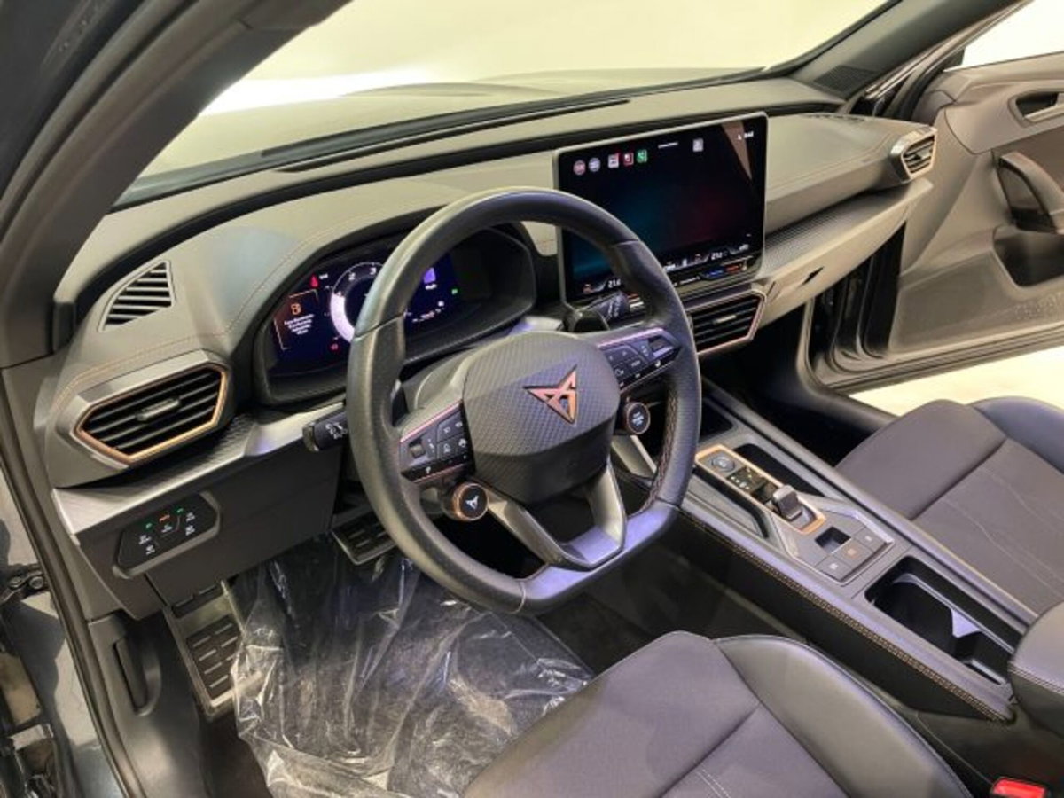 Cupra Formentor Formentor 2.0 TDI (15)