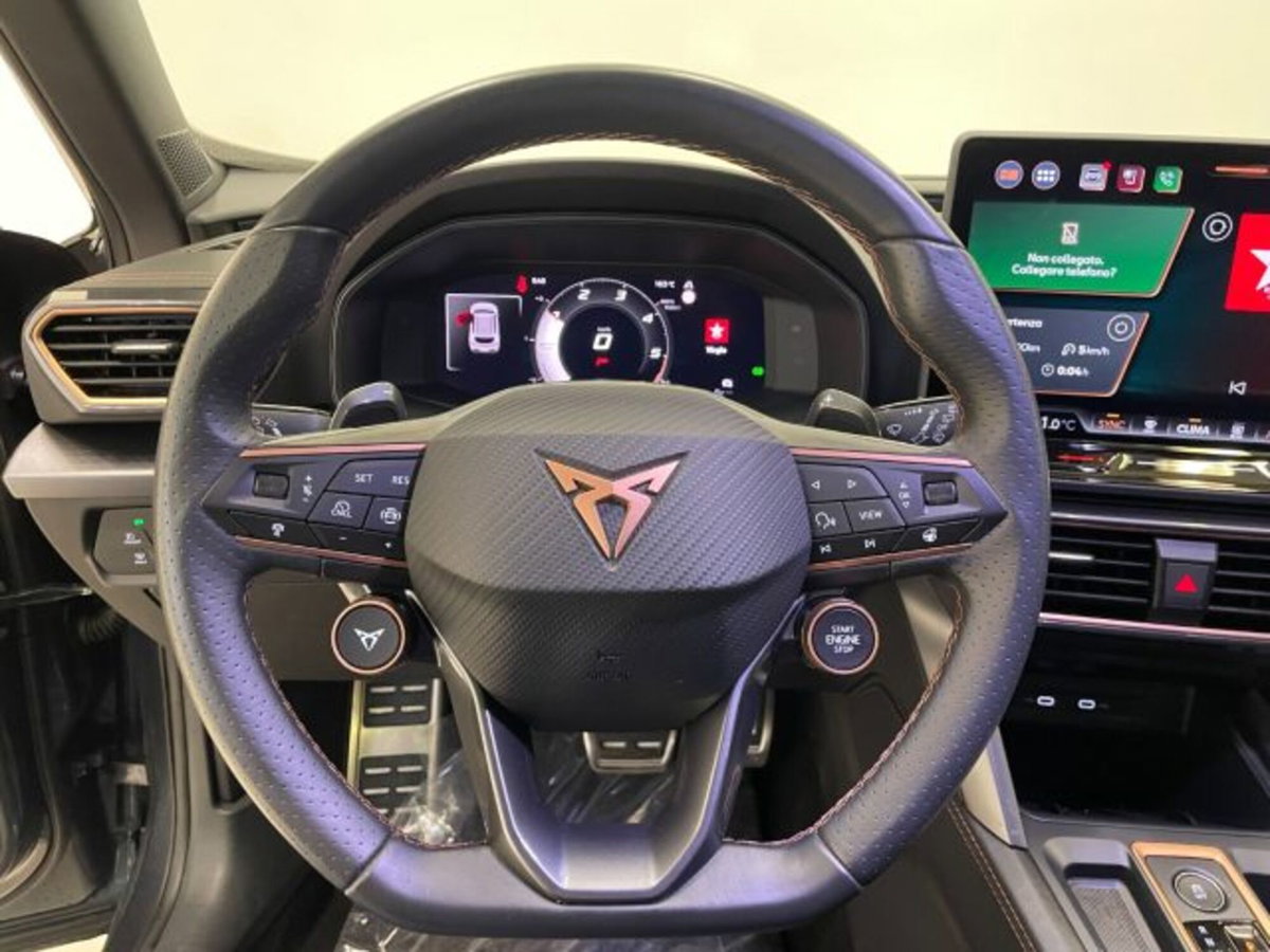 Cupra Formentor Formentor 2.0 TDI (16)