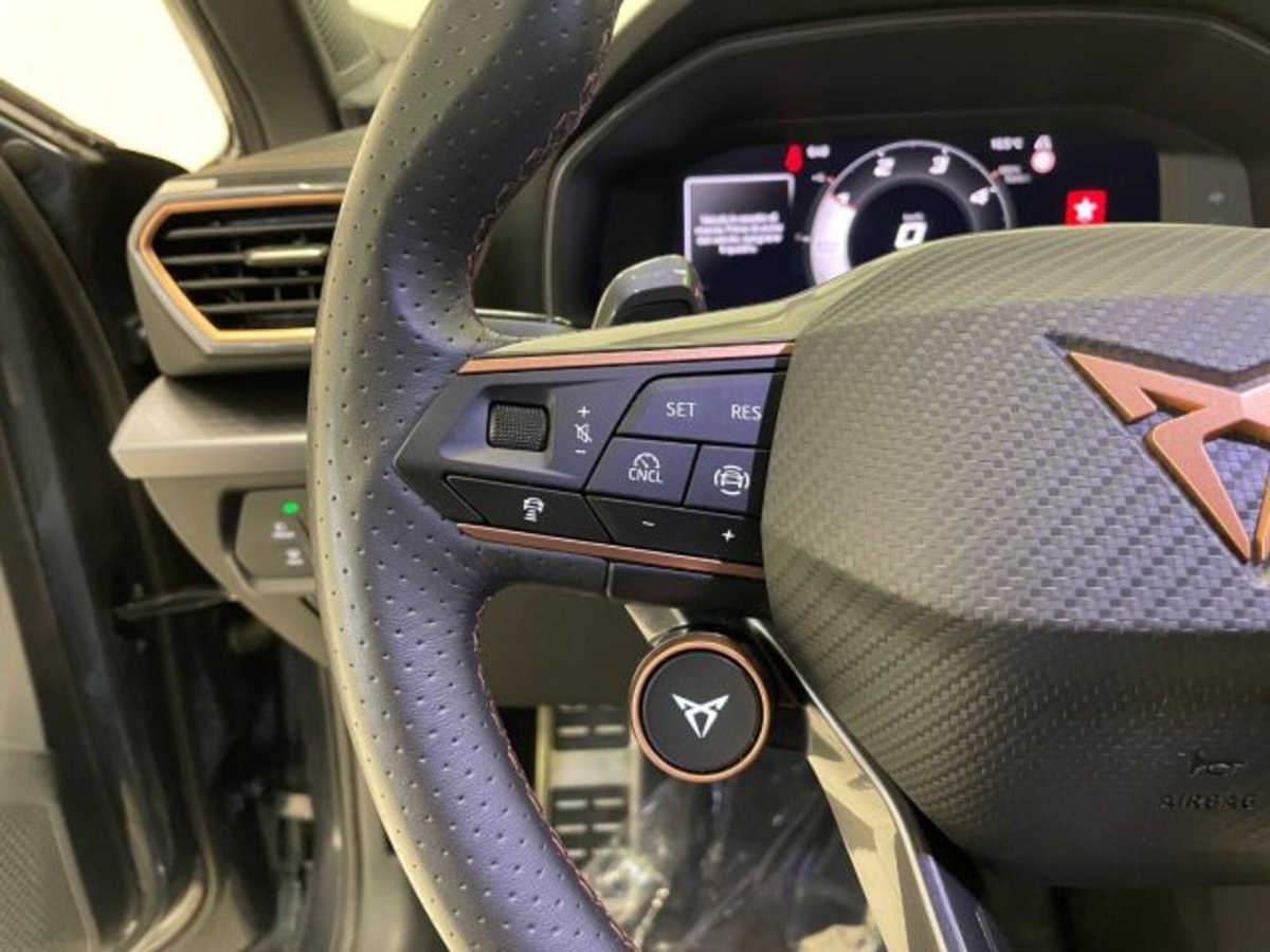 Cupra Formentor Formentor 2.0 TDI (17)