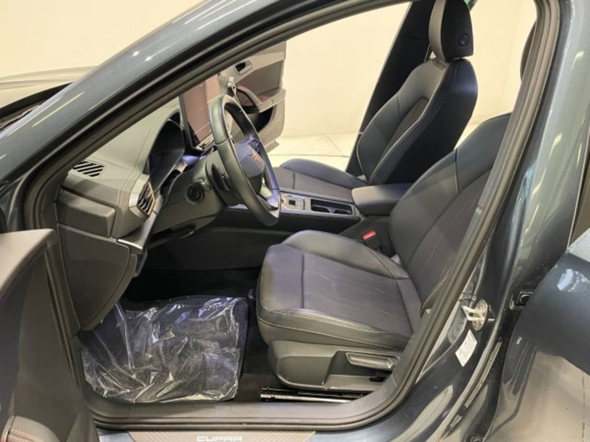 Cupra Formentor Formentor 2.0 TDI (6)