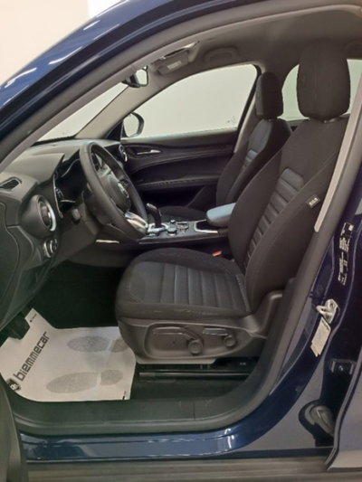 Alfa Romeo Stelvio Stelvio 2.2 Turbodiesel 190 CV AT8 Q4 Business (15)