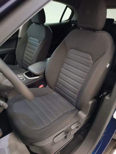 Alfa Romeo Stelvio Stelvio 2.2 Turbodiesel 190 CV AT8 Q4 Business (16)
