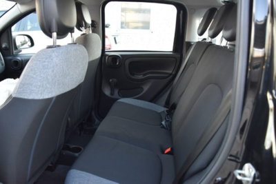 Fiat Panda 1.0 firefly hybrid s&s 70cv 5p.ti (13)