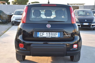 Fiat Panda 1.0 firefly hybrid s&s 70cv 5p.ti (5)