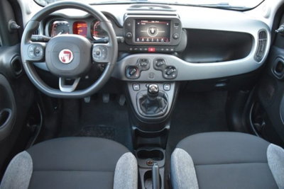 Fiat Panda 1.0 firefly hybrid s&s 70cv 5p.ti (7)
