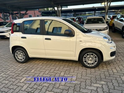 Fiat Panda 1.0 firefly hybrid s&s 70cv 5p.ti (3)