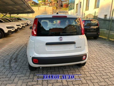Fiat Panda 1.0 firefly hybrid s&s 70cv 5p.ti (4)