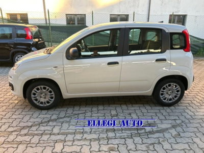 Fiat Panda 1.0 firefly hybrid s&s 70cv 5p.ti (5)