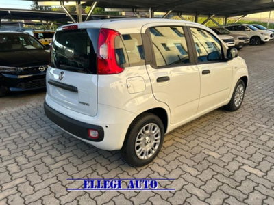 Fiat Panda 1.0 firefly hybrid s&s 70cv 5p.ti (6)