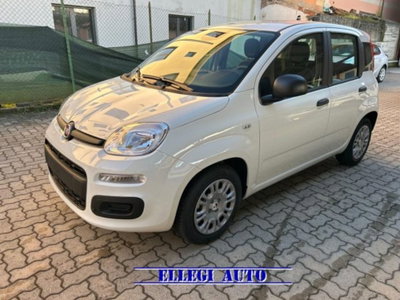 Fiat Panda 1.0 firefly hybrid s&s 70cv 5p.ti (8)