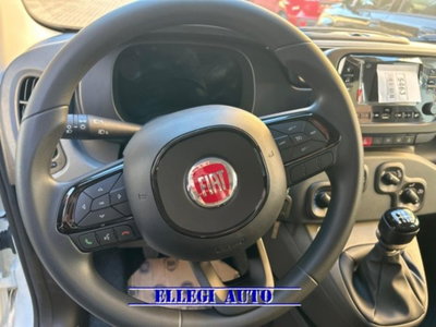 Fiat Panda 1.0 firefly hybrid s&s 70cv 5p.ti (9)