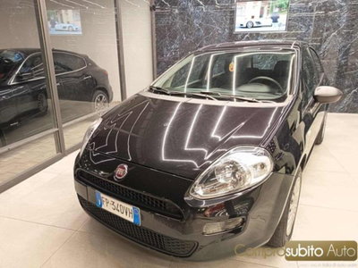 Fiat Punto 1.2 8V 5 porte Street (2)