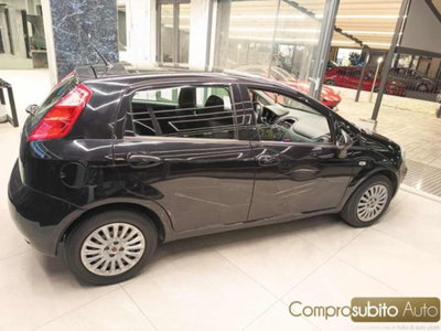 Fiat Punto 1.2 8V 5 porte Street (3)