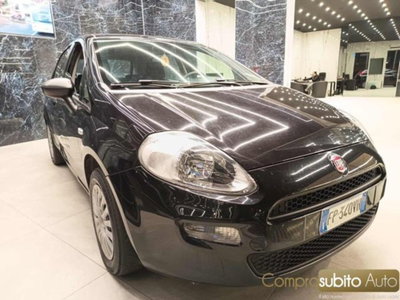 Fiat Punto 1.2 8V 5 porte Street (4)