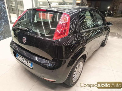Fiat Punto 1.2 8V 5 porte Street (5)