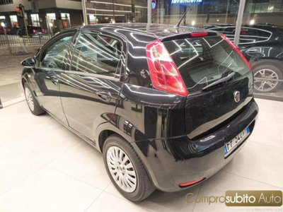 Fiat Punto 1.2 8V 5 porte Street (6)