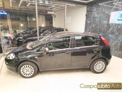Fiat Punto 1.2 8V 5 porte Street (7)