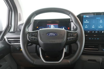 Ford Tourneo Custom 320 2.0 EcoBlue 170CV aut. PL Titanium (13)