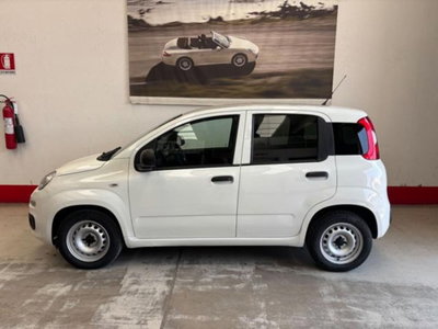 Fiat Panda 1.2 Pop Van 2 posti usata