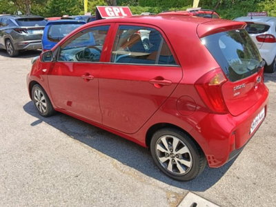 Kia Picanto 1.0 12V EcoGPL 5 porte Active Collection (11)