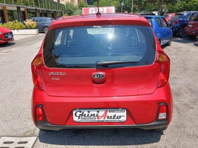 Kia Picanto 1.0 12V EcoGPL 5 porte Active Collection (5)