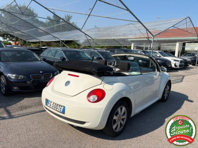 Volkswagen New Beetle Cabrio 1.6 Cabrio (11)