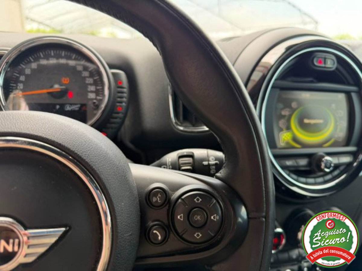 MINI Mini Countryman 2.0 Cooper D Business Countryman ALL4 Automatica (10)