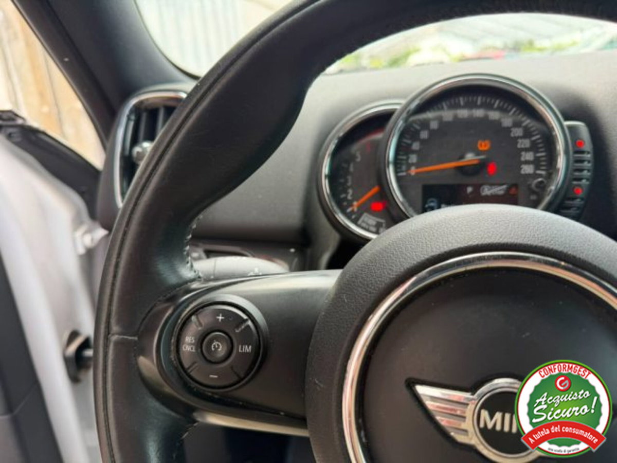 MINI Mini Countryman 2.0 Cooper D Business Countryman ALL4 Automatica (13)