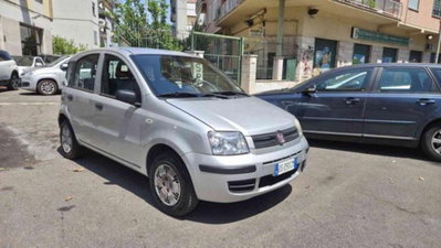 Fiat Panda 1.2 Dynamic usata