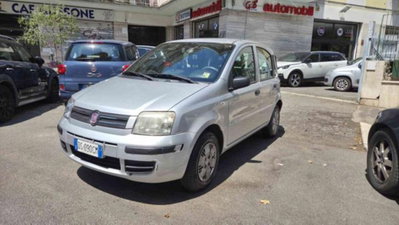 Fiat Panda 1.2 Dynamic (3)