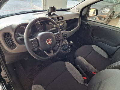 Fiat Panda 1.0 FireFly S&S Hybrid City Life (7)
