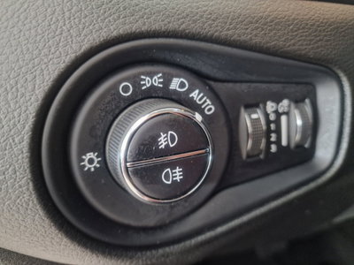 Jeep Renegade 1.3 T4 DDCT Limited (10)