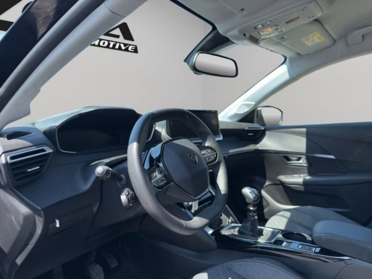 Peugeot 208 PureTech 100 Stop&Start 5 porte Allure (8)