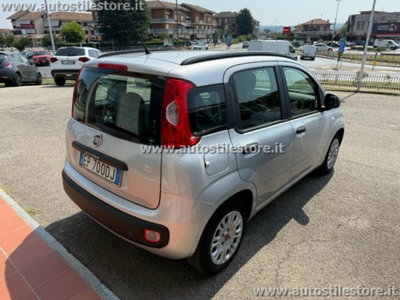 Fiat Panda 1.2 Easy (4)