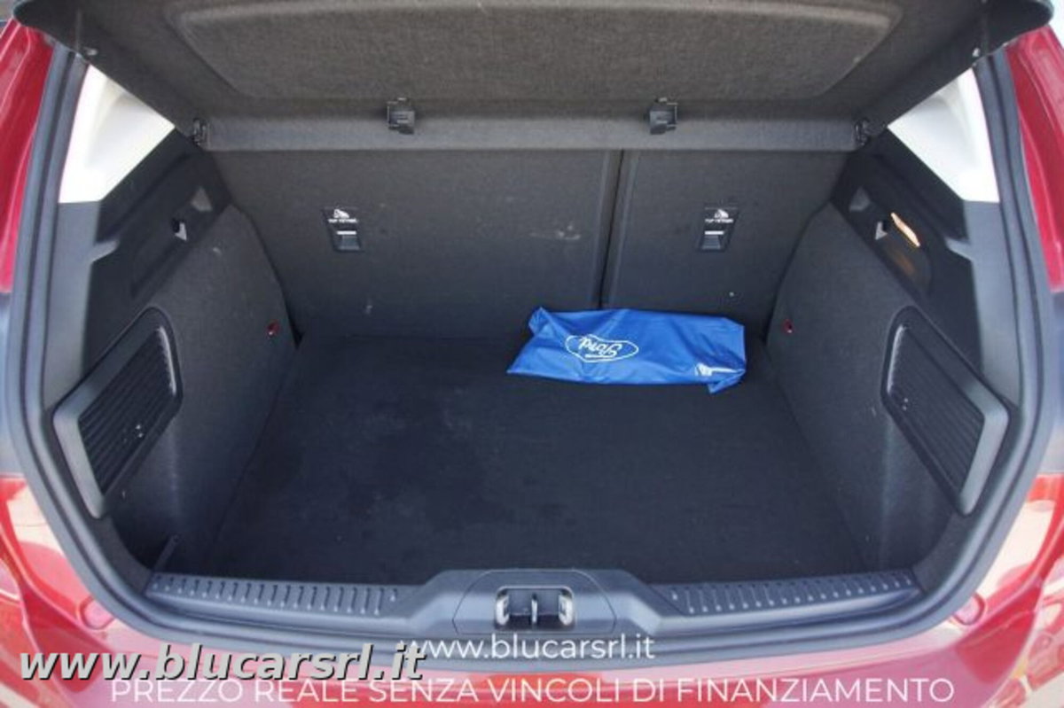 Ford Focus 1.0 EcoBoost Hybrid 125 CV Powershift 5p. Active Style (11)