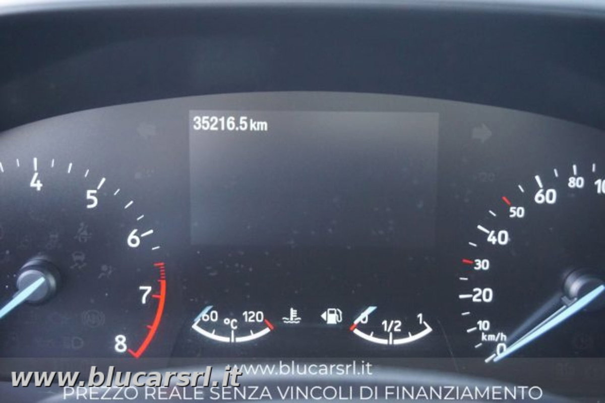 Ford Focus 1.0 EcoBoost Hybrid 125 CV Powershift 5p. Active Style (13)