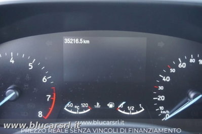 Ford Focus 1.0 EcoBoost Hybrid 125 CV Powershift 5p. Active Style (13)
