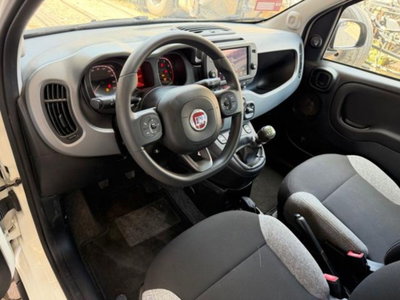 Fiat Panda 1.2 EasyPower City Life (10)