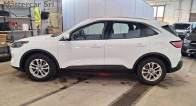 Ford Kuga 1.5 TDCI 120 CV S&S 2WD Titanium Business (3)