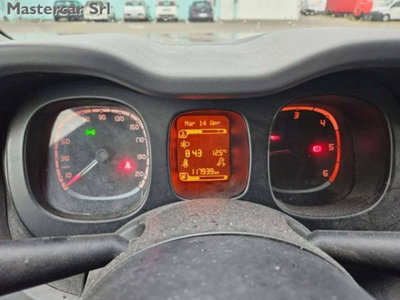 Fiat Panda 1.3 MJT 4x4 Pop Van 2 posti (12)