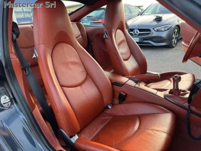 Porsche 911 Cabrio Carrera cat (11)