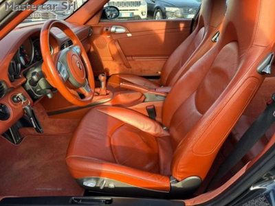 Porsche 911 Cabrio Carrera cat (7)