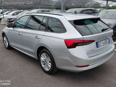 Skoda Octavia Station Wagon 2.0 TDI EVO SCR 150 CV DSG 4x4 Wagon Executive (4)