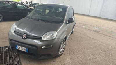 Fiat Panda 1.0 firefly hybrid s&s 70cv 5p.ti (2)
