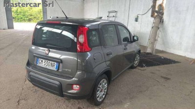 Fiat Panda 1.0 firefly hybrid s&s 70cv 5p.ti (5)