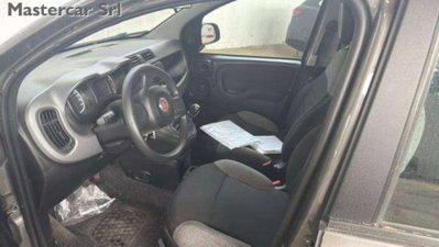 Fiat Panda 1.0 firefly hybrid s&s 70cv 5p.ti (6)