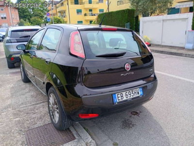 Fiat Punto Evo 1.2 5 porte Active (4)
